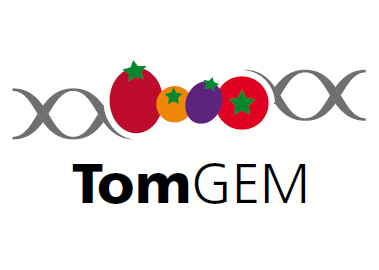 トマト生産量確保のためのTomGEMプロジェクトのページへ移動