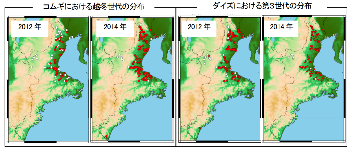 2012年と2014年のコムギにおけるミナミアオカメムシ越冬世代及びダイズにおける第3世代の分布調査結果の図
