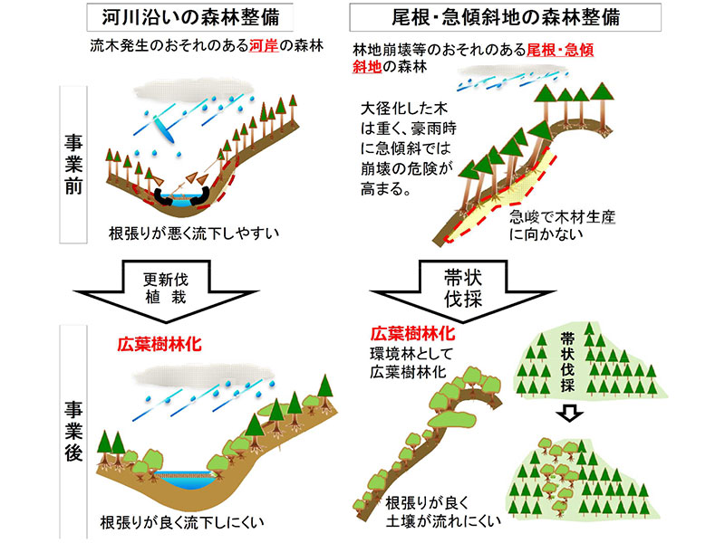 熊本地震による応急仮説住宅へのグリーンカーテン設置