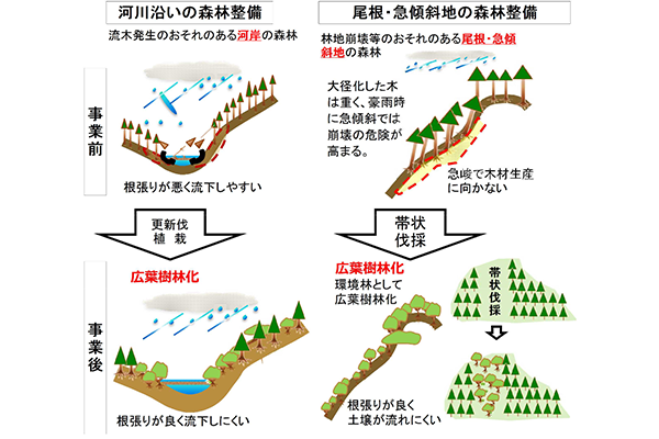 大分県における災害に強い森林づくりのページへ移動