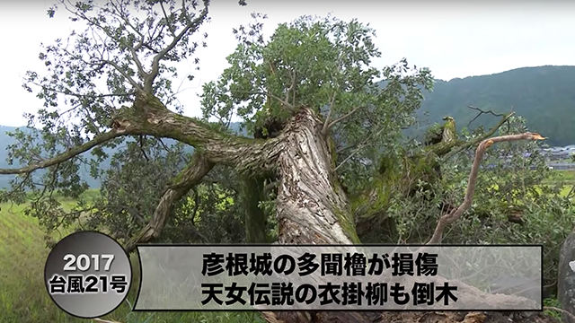 「気候変動でどうなる」 滋賀での私たちの暮らし-