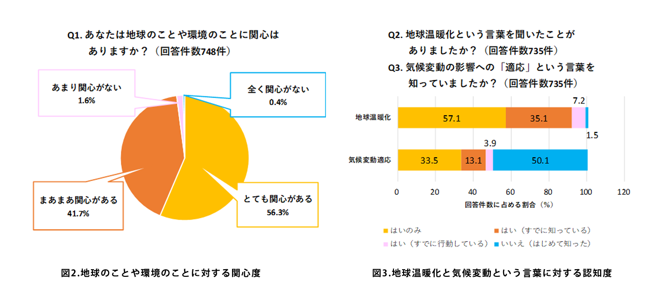 質問1と質問2のアンケート調査の結果のグラフ