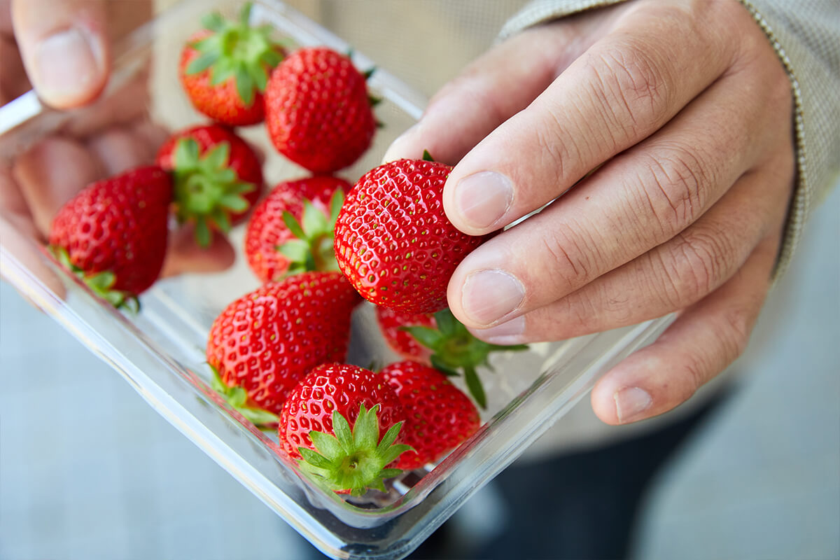 三重県Adaptation measures(Vol.14)