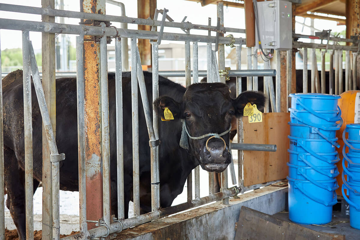 宮崎県Adaptation measures(Vol.17)