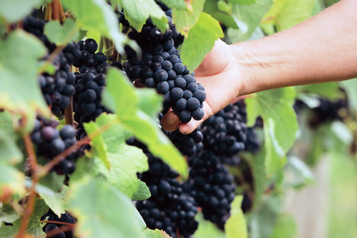 北海道適応策(Vol.20)