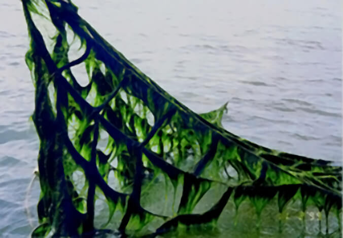 徳島県Adaptation measures(Vol.3)