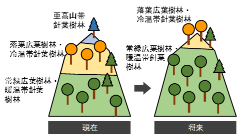 5-6 Investigation of impacts of climate change on alpine vegetation and ...