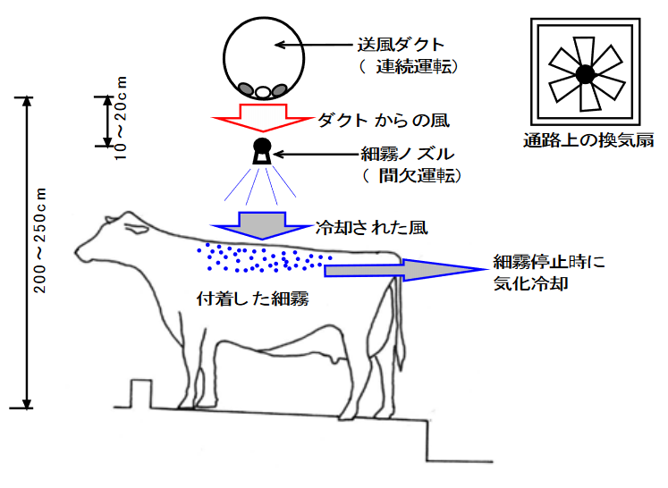 乳牛の夏バテ対策「ダクト細霧」
