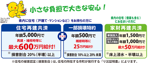 フェニックス共済の概要