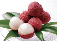 ライチの産地化のページへ移動