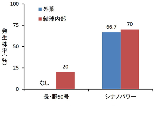 チップバーンの発生株率