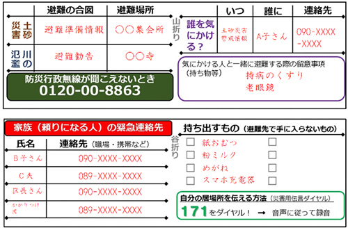 災害・避難カードの例