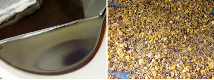 （左）梅酢から塩分を取り除いた脱塩濃縮梅酢（BX70）、（右）添加飼料