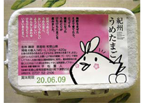 副産物を活用した鶏の暑熱ストレスの緩和ページへ移動