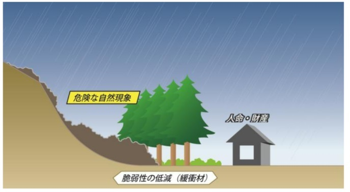 生態系による脆弱性の低減のイメージ