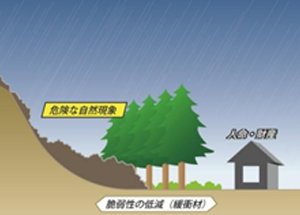 生態系を活用した防災・減災（Eco-DRR）のページへ移動