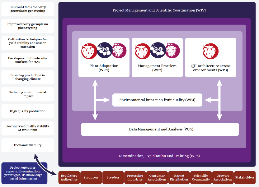 GoodBerryのコンセプトの概要