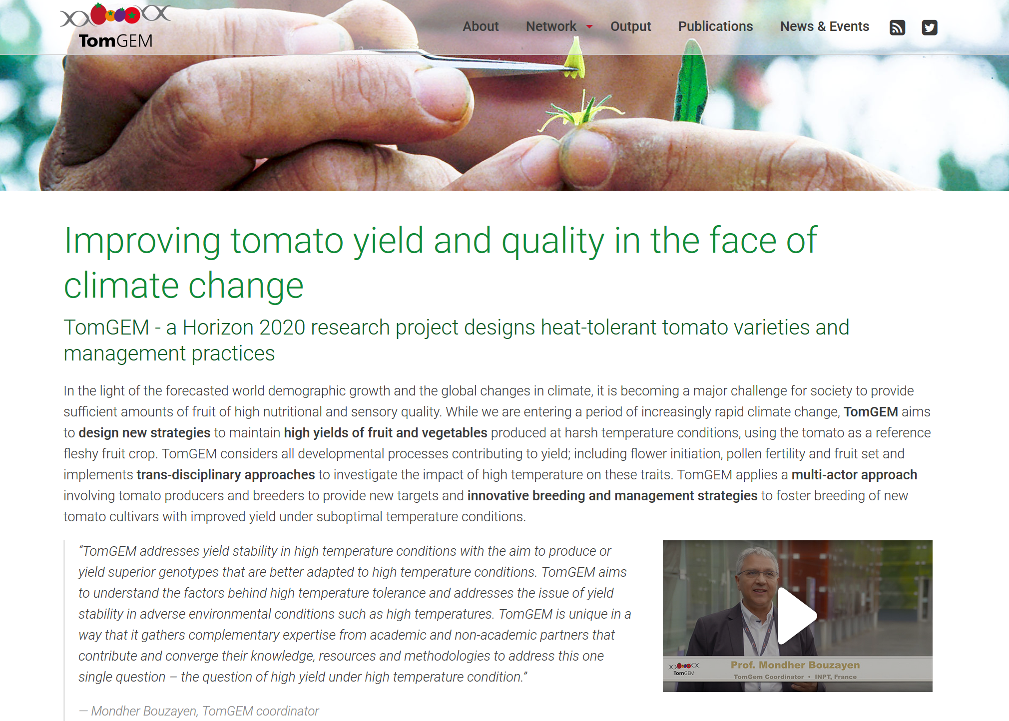 TomGEMのウェブサイト