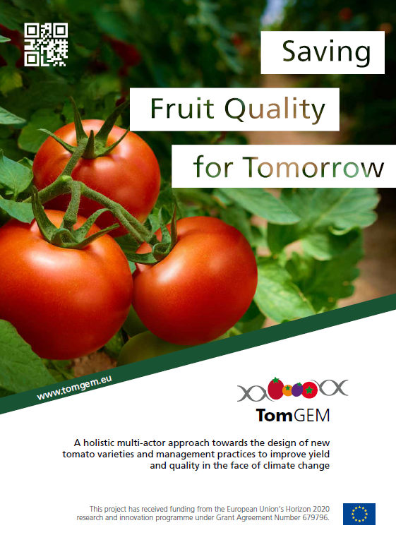 TomGEMのリーフレット