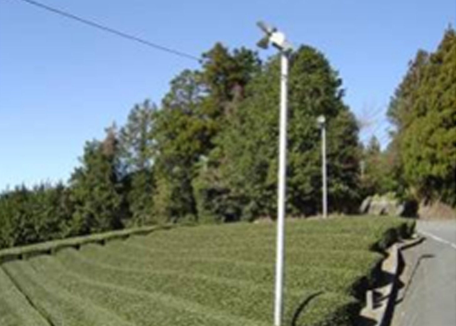 茶栽培に関わる技術の普及のページへ移動