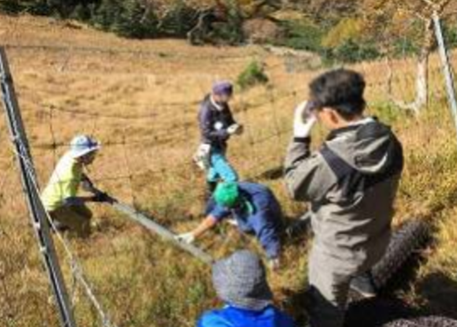高山帯・亜高山帯の生態系に及ぼす影響への対策のページへ移動