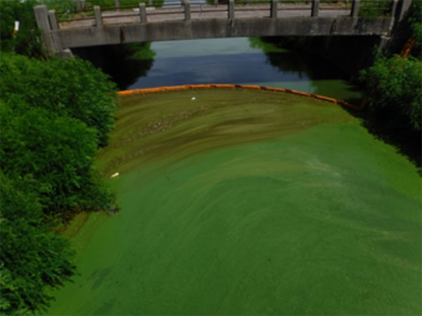 図２　アオコ遡上防止フェンス鹿渡川のイメージ画像
