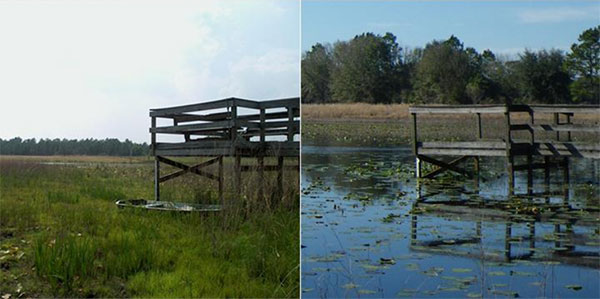 図　過度な取水で枯渇したスタンフォード湖（左）と、多角的な取水で回復した同湖（右）