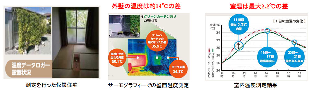 グリーンカーテンの設置効果