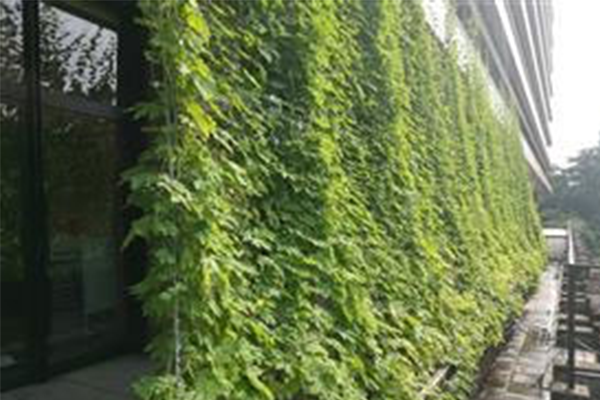 九州地方におけるグリーンカーテンの推進のページへ移動