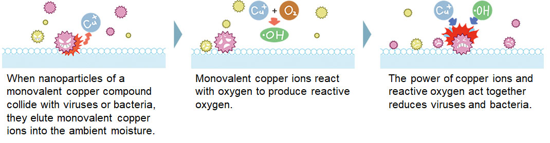 抗ウイルス・抗菌のメカニズム