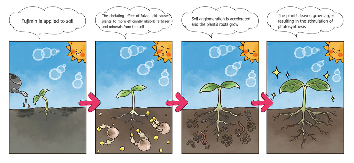 フルボ酸の効果イメージ