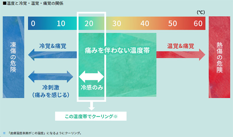 Relationship between temperature and the perception of cold, warmth, and pain