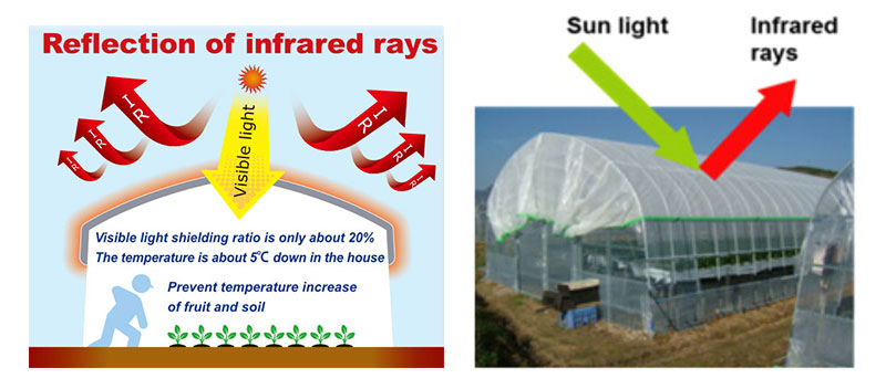Example use of CLAF®,MEIRYO®