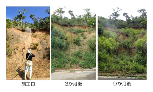 Image of BSC materials being installed, the site 3 months later, and 9 months later.