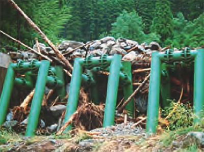 Capture of large boulders and driftwood in debris flow