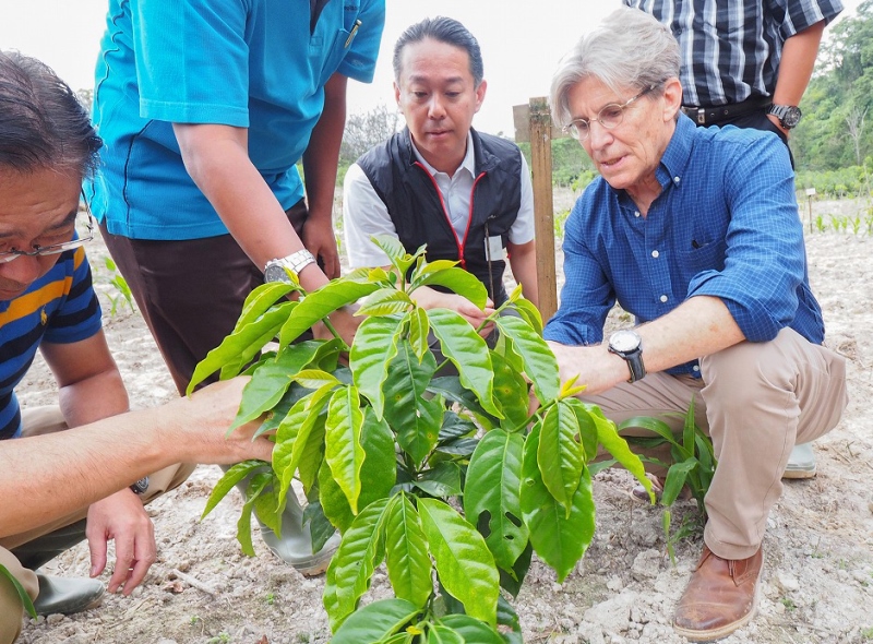 IMLVT圃場の視察の写真