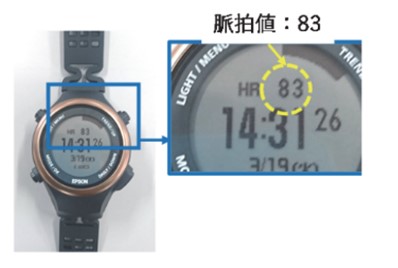 脈拍センサ（腕時計型）の写真