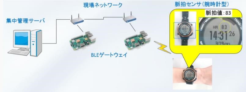 脈拍モニタリングシステムの構成の写真