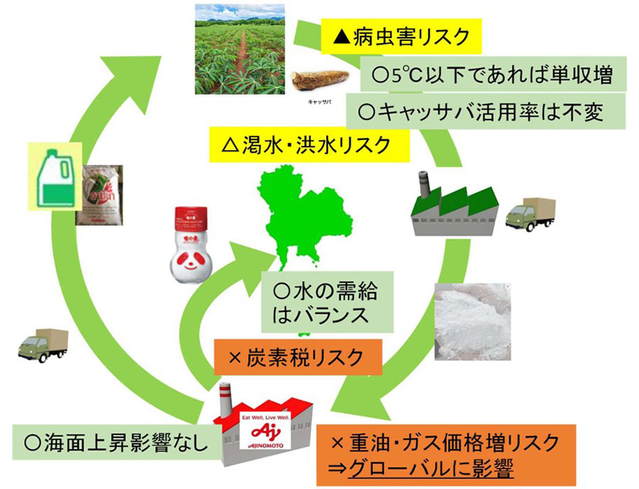 図2:味の素の看板商品の調味料「味の素®」をモデルとしたシナリオ分析項目