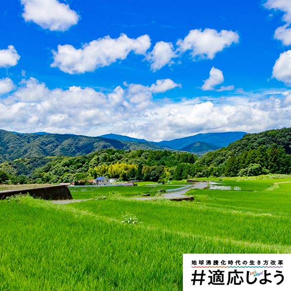 生態系メインビジュアル