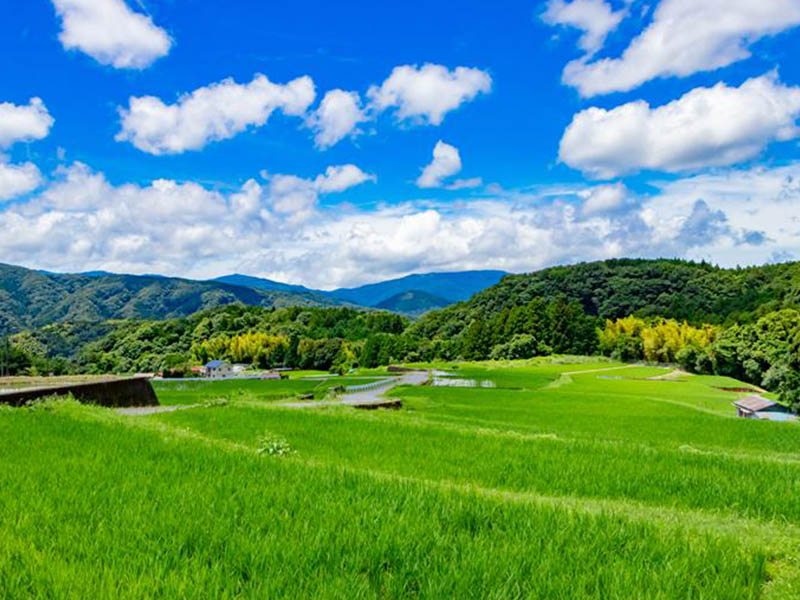 インタビュー5生態系イメージ