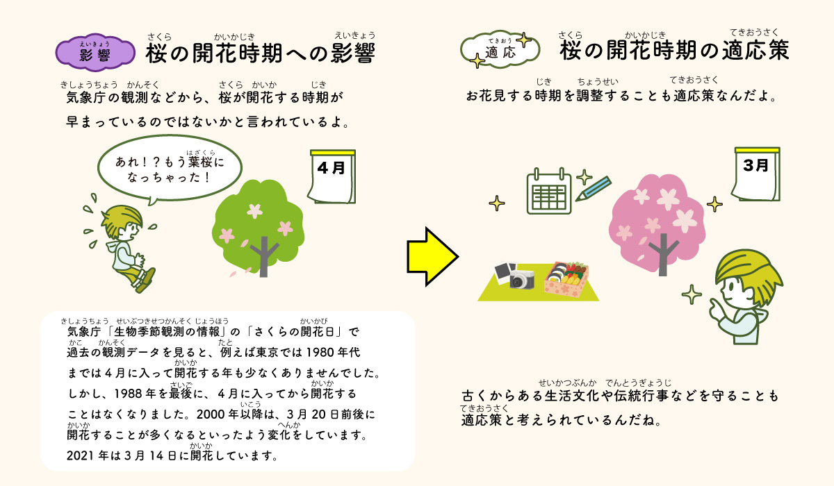 桜の開花時期への影響と適応策。お花見する時期を調整することも適応策。