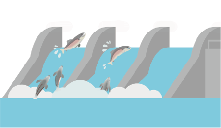 河川環境等の整備