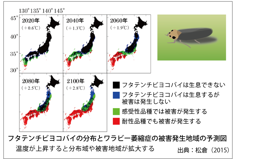 フタテンチビヨコバイの分布とワラビー萎縮症の被害発生地域の予測図