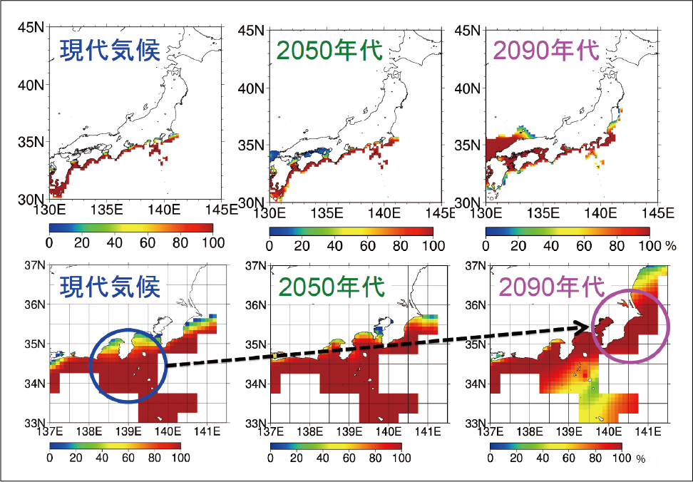 マサバの産卵好適水温の分布（3〜4月の水温が15.9～21.6℃（適水温）になる確率（水深250m以浅））