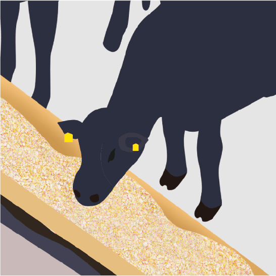 飼料の配合や栄養素を改善