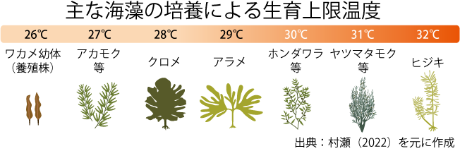 適地の探索、高水温耐性種の選定