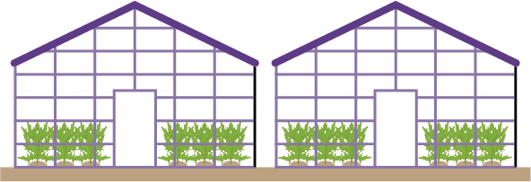 低コスト対候性ハウスの推進