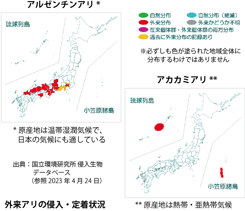 外来アリの侵入・定着状況