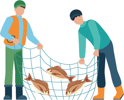 刺し網による食害魚の捕獲